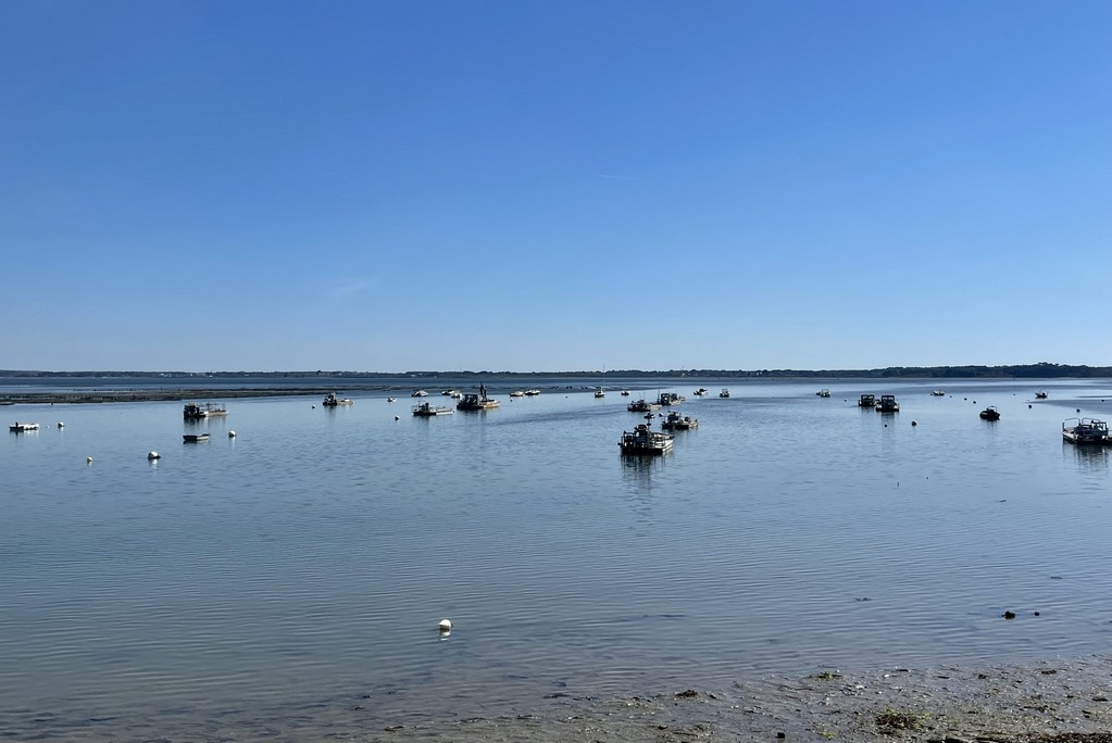 Agence immobilière de Eden Golfe