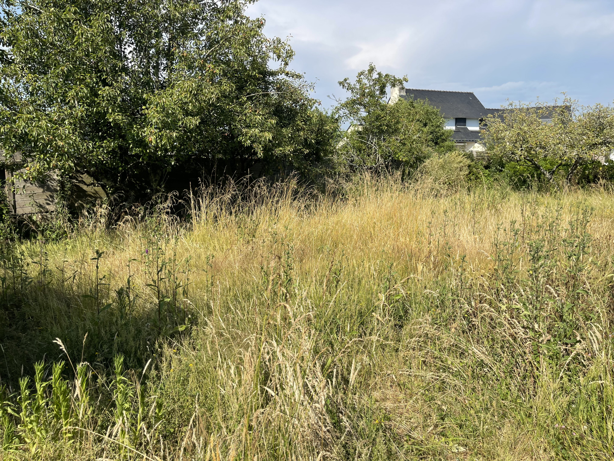 Agence immobilière de Eden Golfe