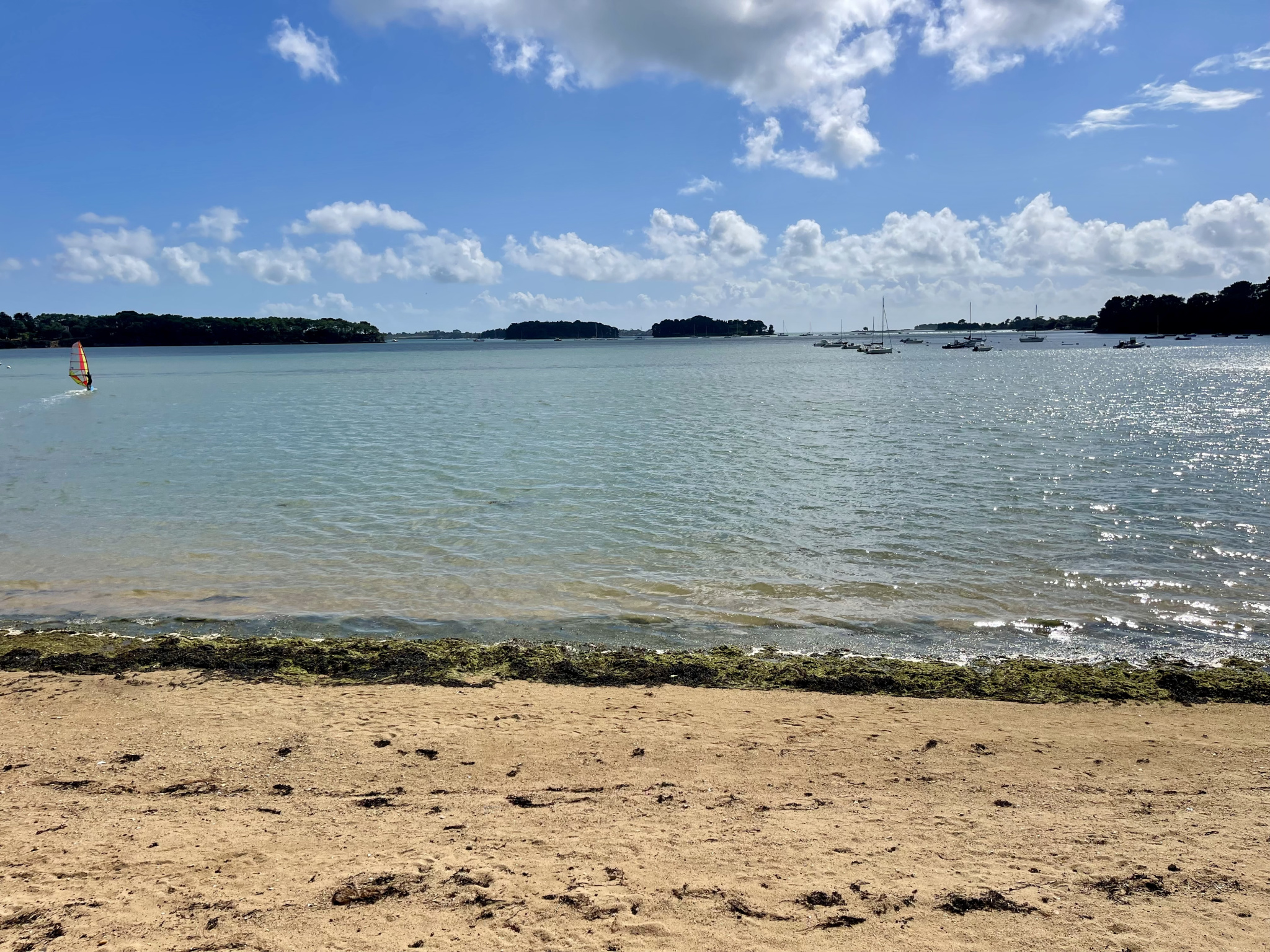 Agence immobilière de Eden Golfe