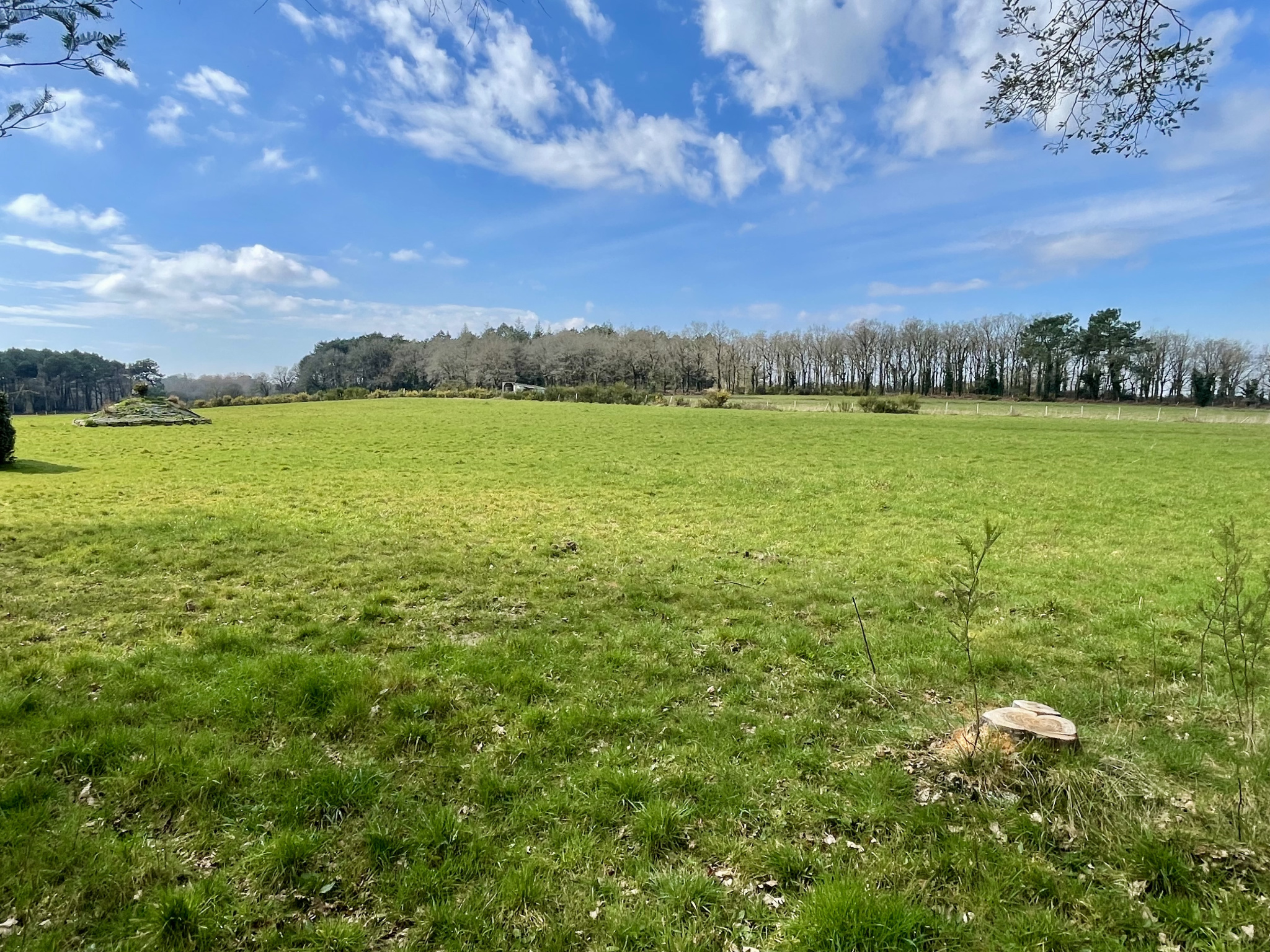 Agence immobilière de Eden Golfe