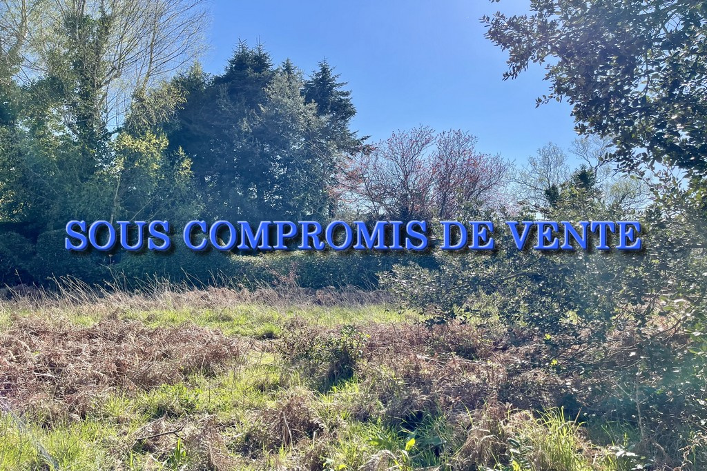 Agence immobilière de Eden Golfe